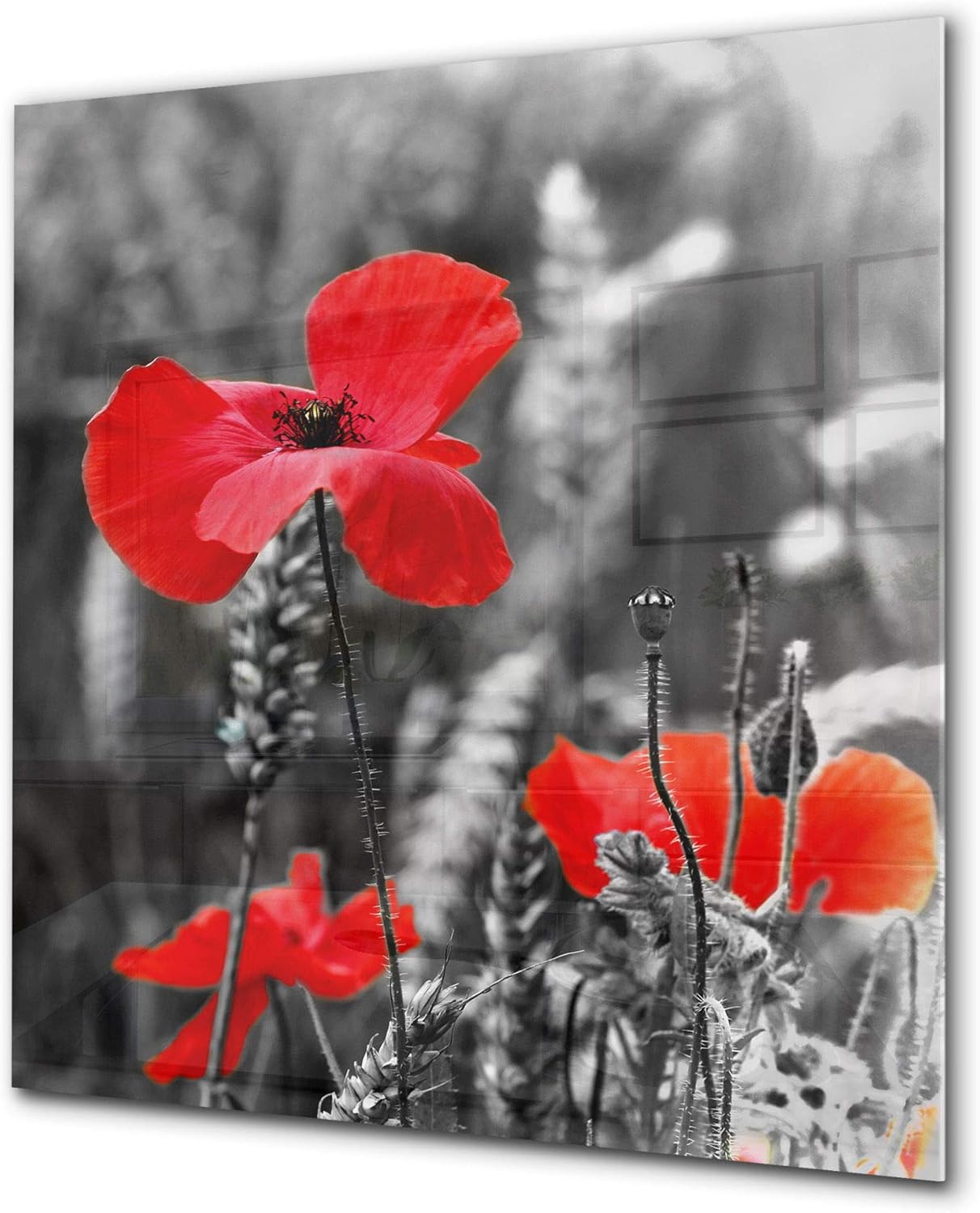 Antiprojections cuisine verre – Antiprojections verre sécurité – Antiprojections avec photo BS03 Série fleurs: Champ de coquelicots